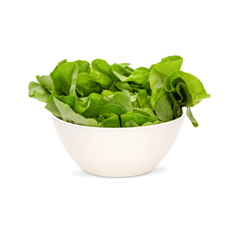 Kremowa Salaterka 20 cm Miko